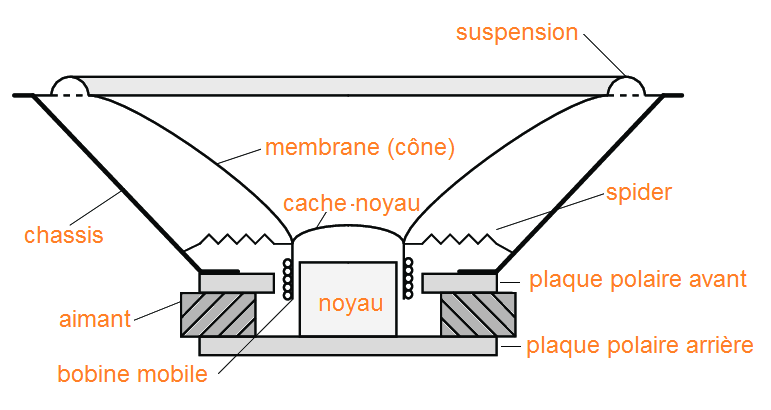 Coupe détaillée d'un haut-parleur