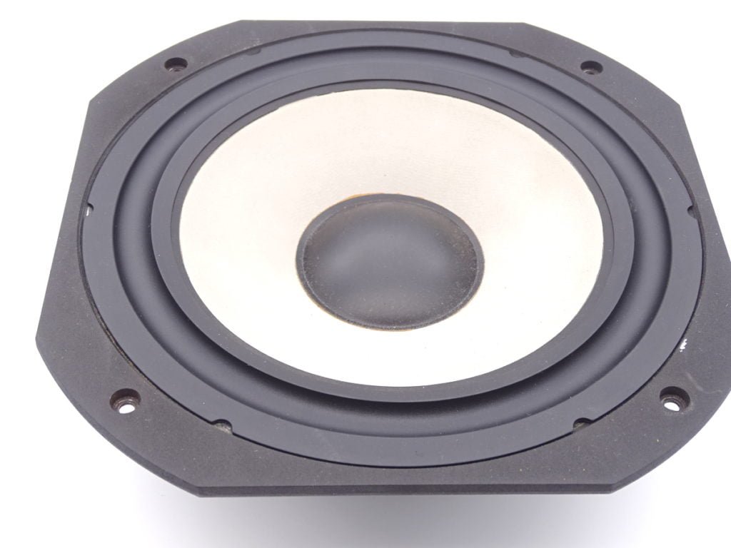 Focal 10" Polyglass 10v01