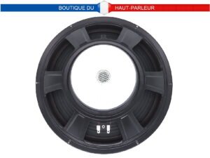 Haut-parleur grave Hi-Fi 302 mm 100 W 8 ohms membrane papier
